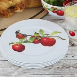 Reston Lloyd Ltd. 6pc Melamine Salad Plate Set, Harvest Apples CALYPSO BASICS