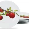 Reston Lloyd Ltd. 6pc Melamine Salad Plate Set, Harvest Apples CALYPSO BASICS