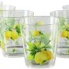 Calypso Basics Fresh Lemons, Acrylic Drinkware, 14 Oz, Rock Glass, Set Of 6