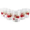 Calypso Basics Harvest Apples, Acrylic Drinkware, 14 Oz, Rock Glass, Set Of 6