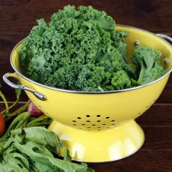 Calypso Basics Powder Coated Colanders, Various Sizes, Lemon