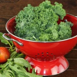 Calypso Basics Powder Coated Colanders, Various Sizes, Red