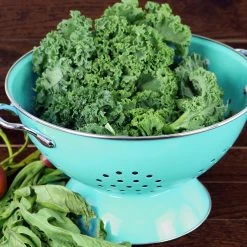 Reston Lloyd Powder Coated Colanders, Various Sizes, Turquoise