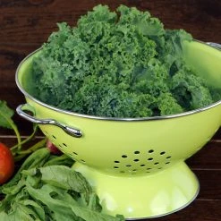 Calypso Basics Powder Coated Colanders, Various Sizes, Lime 17 Calypso Basics Powder Coated Colanders, Various Sizes, Lime