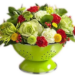 Reston Lloyd Ltd. 1.5 Qt. Colander Clear Liner Colanders